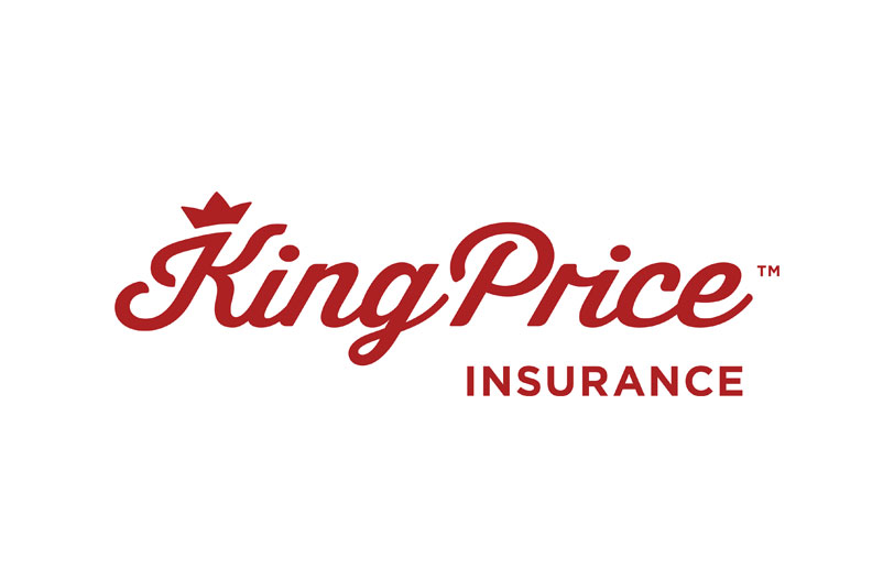 King Price Insurance – S&S Analytica